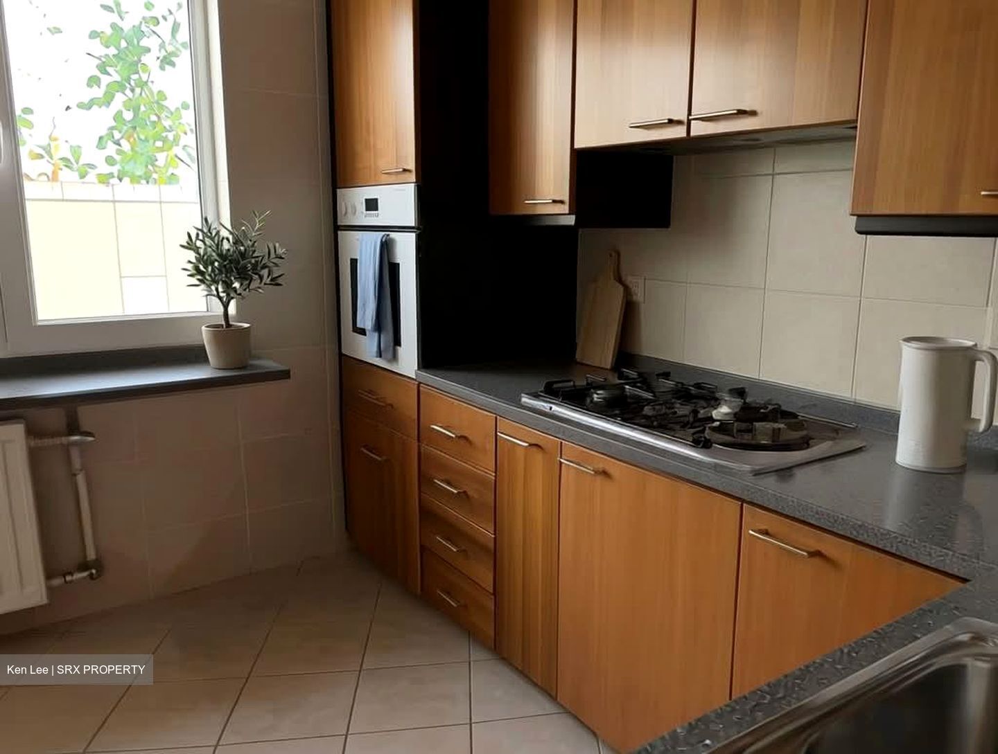 Zion Road (D10), Condominium #595213051